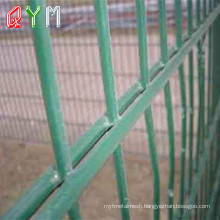 Double Wire Fence Galvanized Welded Wire Mesh Fence